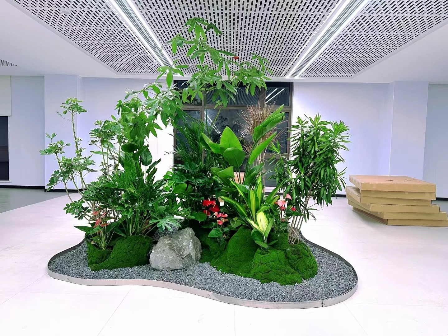 专业余姚盆景租摆，开启精致景观之旅