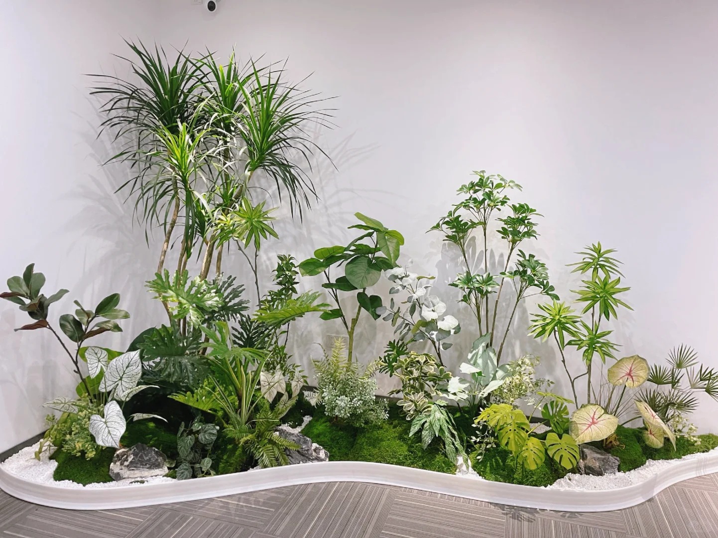 专业余姚盆景租摆，开启精致景观之旅